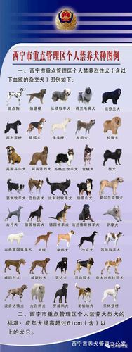 中国十大禁犬,中国十大禁犬图片,中国十大禁犬