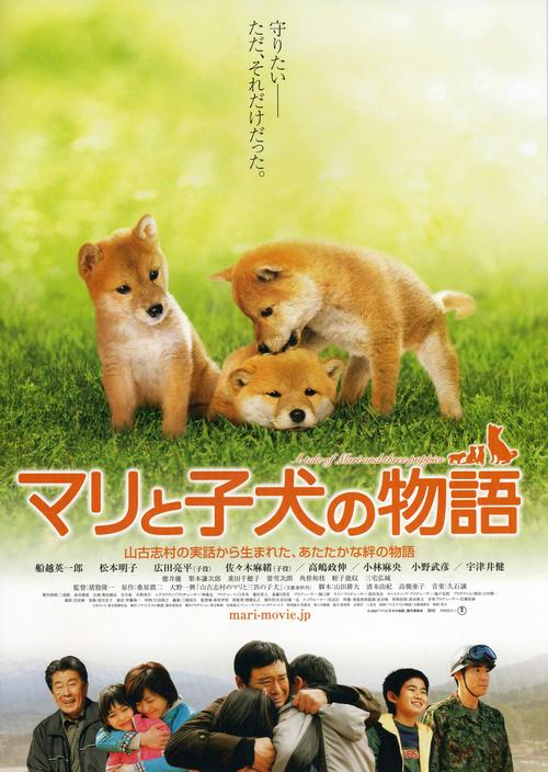 关于狗的电影,关于狗的电影排行榜前十名,除了柴犬奇迹物语之外，还有什么是关于狗的电影……（是日本的）？