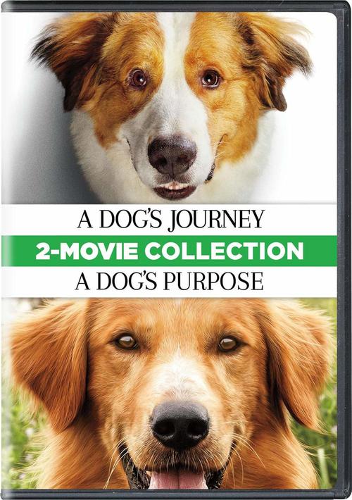 一条狗的使命2,一条狗的使命2免费观看完整版,一条狗的使命2