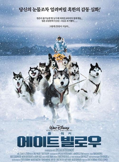关于狗狗的电影,关于狗狗的电影有哪些,雪橇犬的电影排行榜前十名？