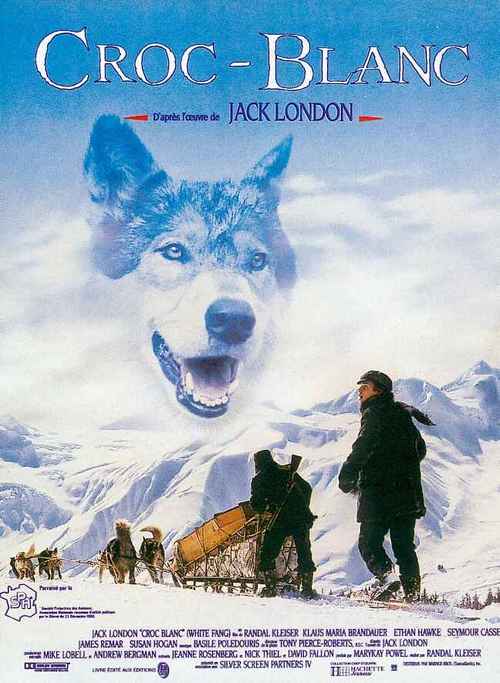 雪地黄金犬,雪地黄金犬在线观看完整版,关于大灰狼的电影？