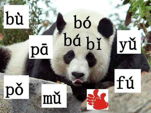 熊猫的拼音,熊猫的拼音怎么写,小猫的音节？