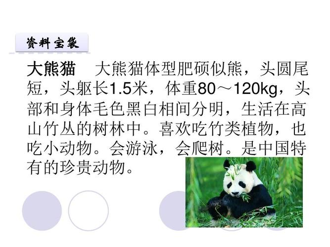 熊猫的介绍,熊猫的介绍和特点,大熊猫资料全部？
