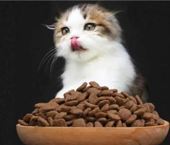 猫吃多少猫粮,猫吃多少猫粮合适,猫粮是吃多少放多少吗？