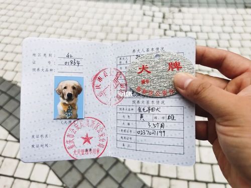 办狗证多少钱,北京办狗证多少钱,办狗证需要多少钱？