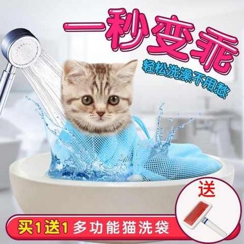 猫洗澡多少钱,猫洗澡多少钱一次,猫洗澡用的装备？