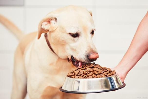 小狗吃多少狗粮,小狗吃多少狗粮合适,狗狗一天吃多少狗粮？