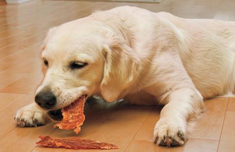 狗一天吃多少肉,狗一天吃多少肉合适,狗狗到底多大才可以吃肉啊，还有到底能不能吃肉？