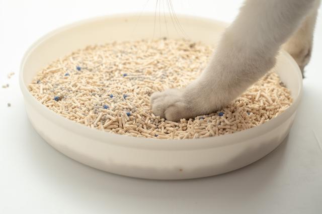 猫砂放多少合适,猫砂盆里的猫砂放多少合适,猫砂放多少？