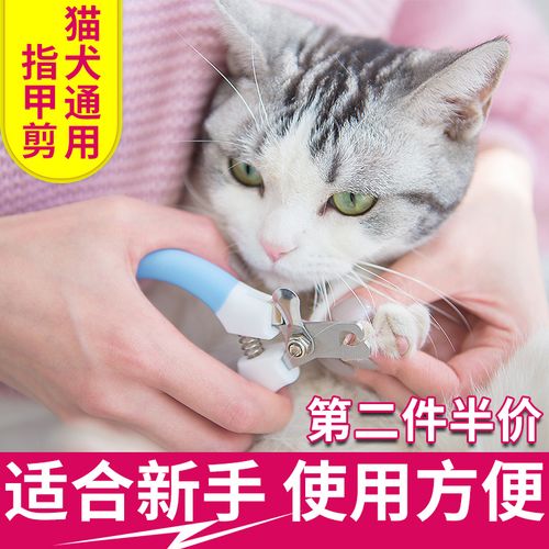 给猫剪指甲多少钱,宠物店给猫剪指甲多少钱,猫剪指甲剪多少合适？