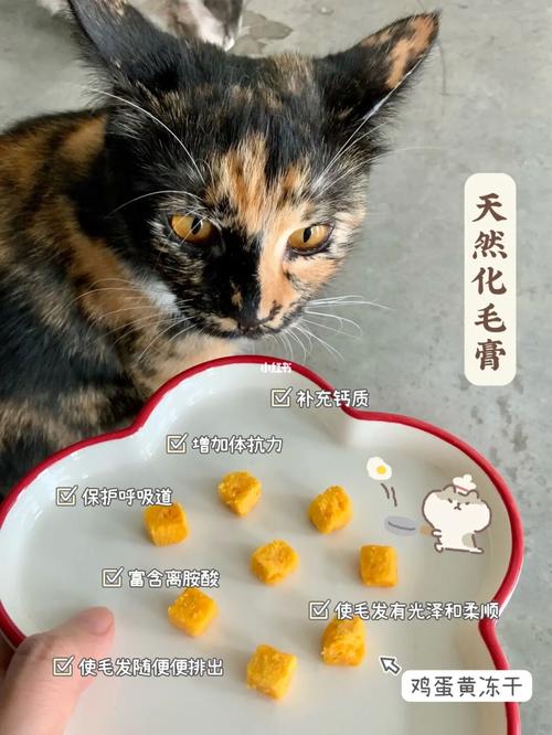 猫一天吃多少蛋黄,猫一天吃多少蛋黄合适,成年猫一天可以吃多少蛋黄？