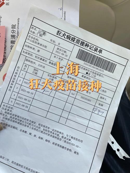 上海打狂犬疫苗多少钱,上海打狂犬疫苗多少钱一针,上海岳阳中心医院可以打狂犬疫苗吗
？
