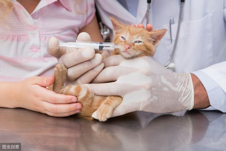 猫咪的疫苗多少钱,猫咪的疫苗多少钱一针,请问给猫打一次疫苗需要多少钱？