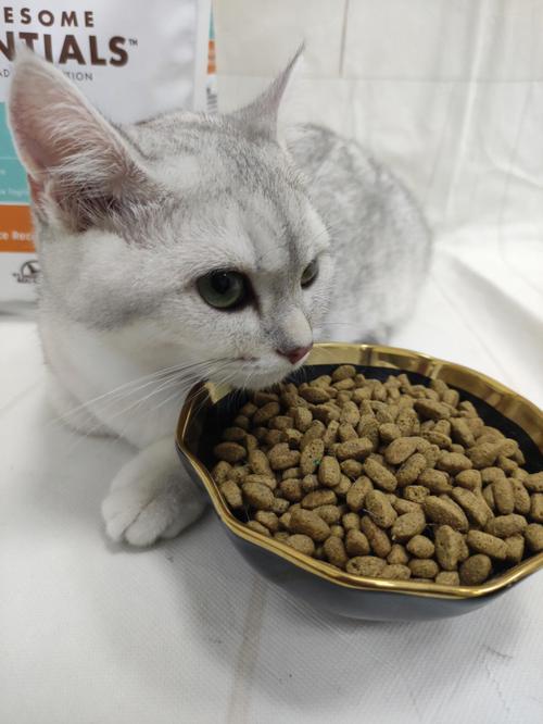 两个月猫吃多少,两个月猫吃多少猫粮,2个月的猫一天吃多少克？