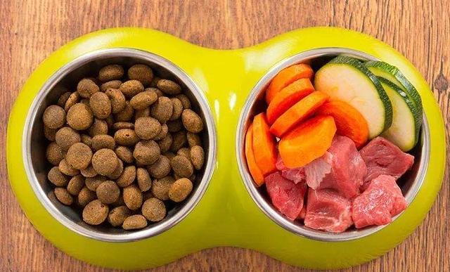 4个月狗狗吃多少狗粮,狗粮50克是几粒,快四个月的狗狗吃多少狗粮啊每次喂二三十个感觉吃不饱？
