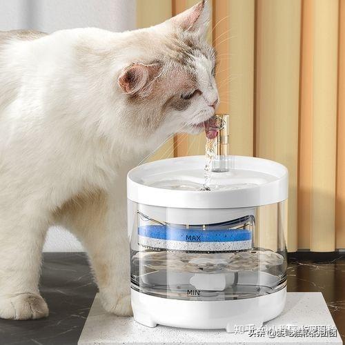 猫一天需要喝多少水,猫一天需要喝多少水正常,猫咪一天该喝多少水？