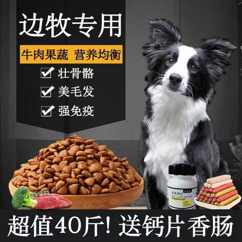中型犬一天吃多少狗粮,中型犬一天吃多少狗粮合适,一个月的边牧一顿吃多少？