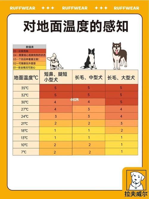 狗狗适合的温度是多少,狗狗适合的温度是多少度,狗的正常温度是多少？