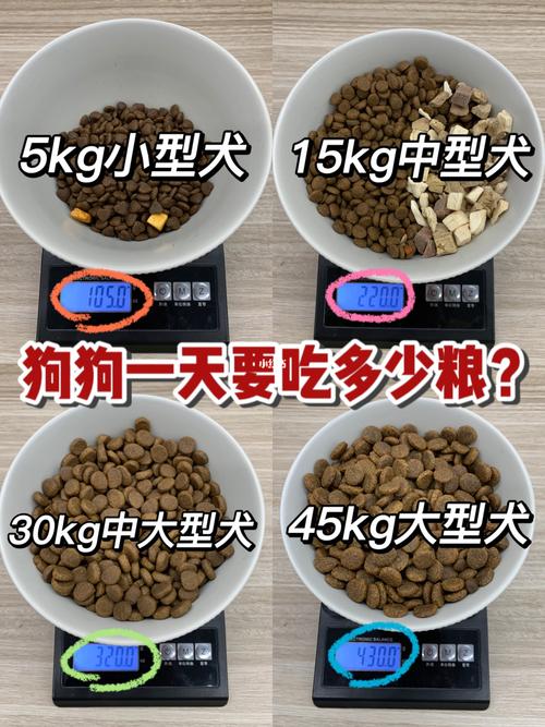 5个月狗狗吃多少狗粮,5个月狗狗吃多少狗粮合适,中华田园犬五个月一天喂多少？
