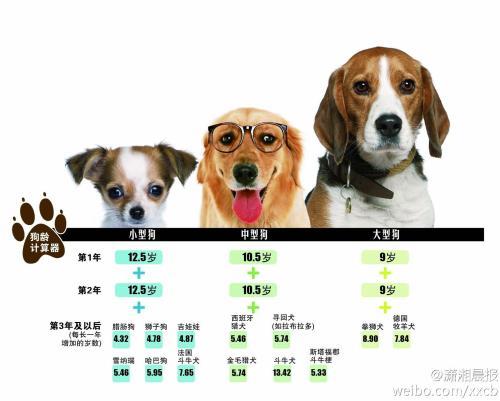 狗7岁相当于人多少岁,狗7岁相当于人多少岁?,狗狗，多长时间为一岁？