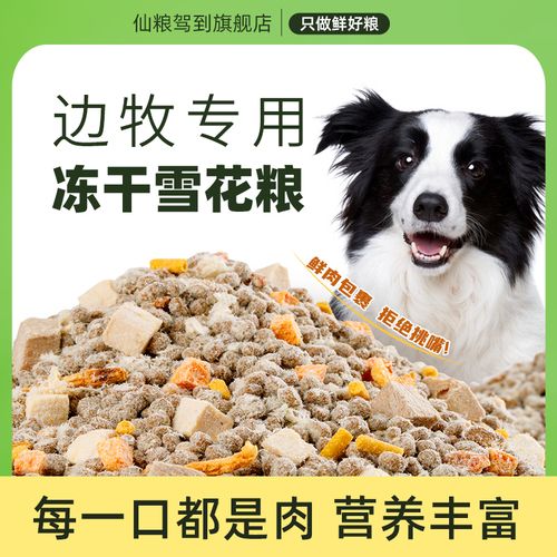 2个月的狗狗吃多少狗粮,2个月的狗狗吃多少狗粮合适,两个月的幼犬边牧喂多少狗粮？