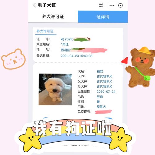 杭州办狗证多少钱,杭州办狗证多少钱一个月,杭州狗证办理的流程是怎样的？