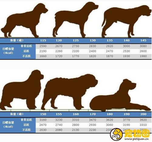 小型犬体重范围是多少,小型犬体重范围是多少斤,19斤属于小型犬嘛？