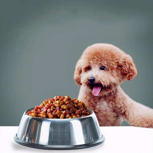 幼犬吃多少狗粮合适,泰迪幼犬吃多少狗粮合适,一年狗狗要吃多少狗粮？