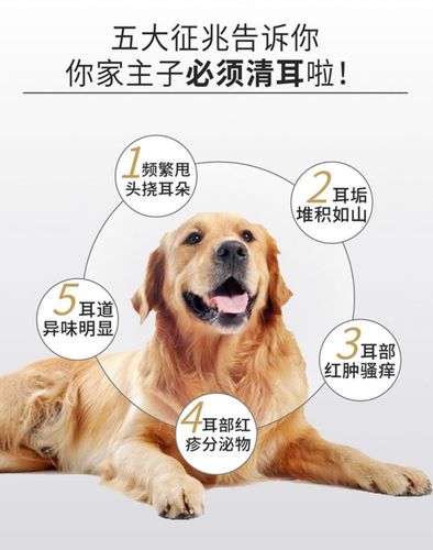 狗狗耳朵聋能治愈吗,狗耳朵聋了吃什么药,狗狗耳朵聋能治愈吗