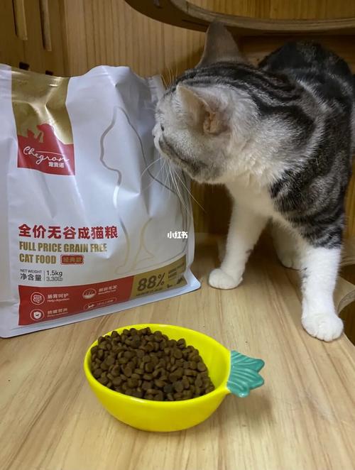 猫粮的制作方法,猫粮的制作方法及配料,猫粮的制作方法和配比？