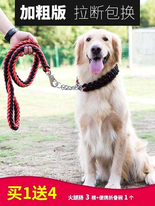 狗项圈制作方法,狗项圈制作方法可伸缩,狗如何练习纤绳？