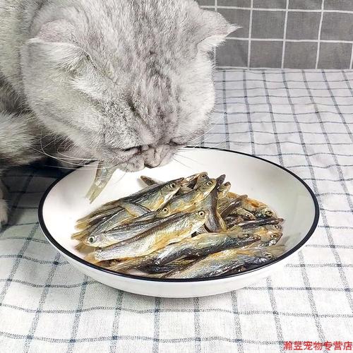 猫吃的小鱼干制作方法,猫吃的小鱼干制作方法视频,小鱼猫粮制作方法？
