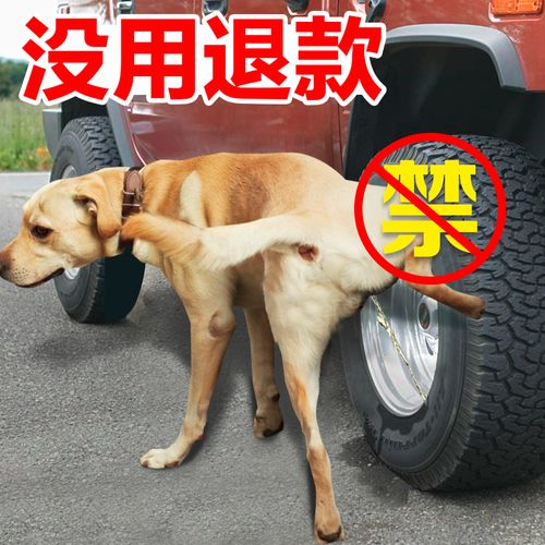防狗尿最有效方法,防狗尿最有效方法 知乎,如何避免狗狗给车轮胎上尿？