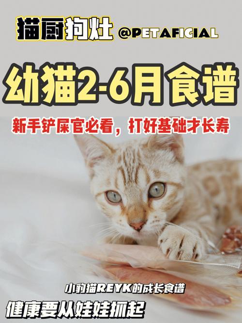 2至6月幼猫喂养方法,2至6月幼猫喂养方法的用量,2个月小猫自制猫饭食谱？