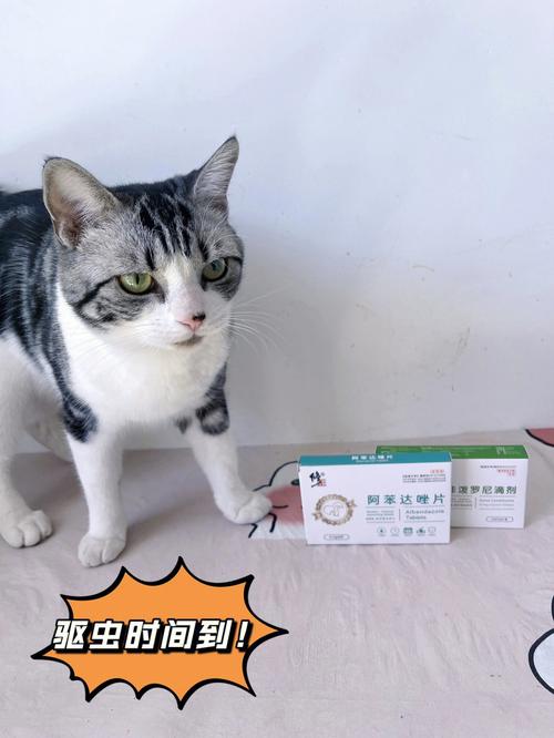 猫咪滴驱虫药的正确方法,猫咪滴驱虫药的正确方法图片,猫咪驱虫的使用方法？
