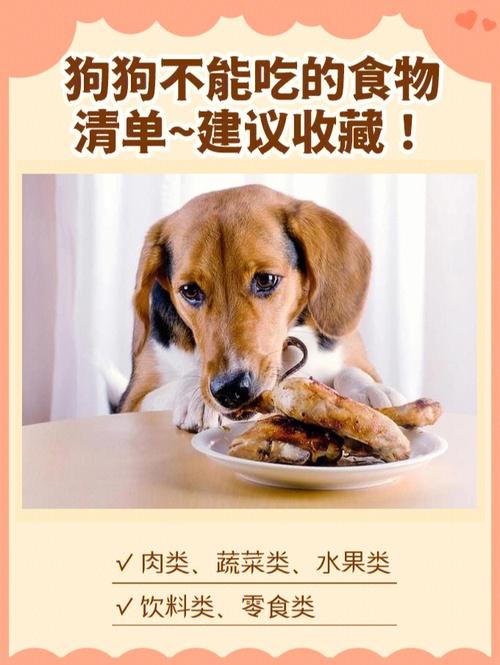 狗狗不能吃,狗狗不能吃的东西清单,哪些狗不能吃？