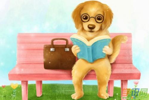 狗狗的故事,狗狗的故事 睡前故事三岁,水浒传中的十个小故事有哪些？