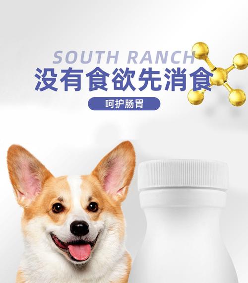 狗狗 益生菌,狗狗益生菌的正确吃法,狗狗益生菌超市有卖吗？