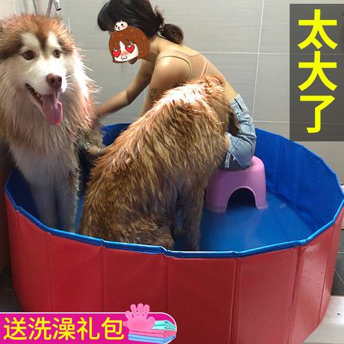 狗狗洗澡用什么,狗狗洗澡用什么洗,一般给狗洗澡用什么洗？