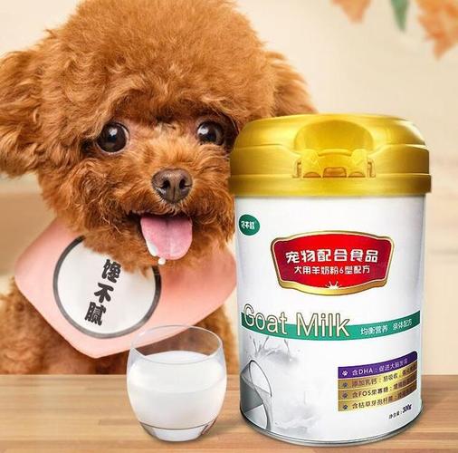 狗狗喝羊奶,狗狗喝羊奶粉的好处和坏处,狗狗可以喝牛奶吗？