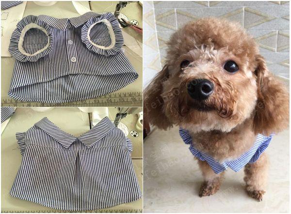 狗狗衣服怎么做,小狗的衣服怎么做简单又好看,泰迪小狗衣服的做法？