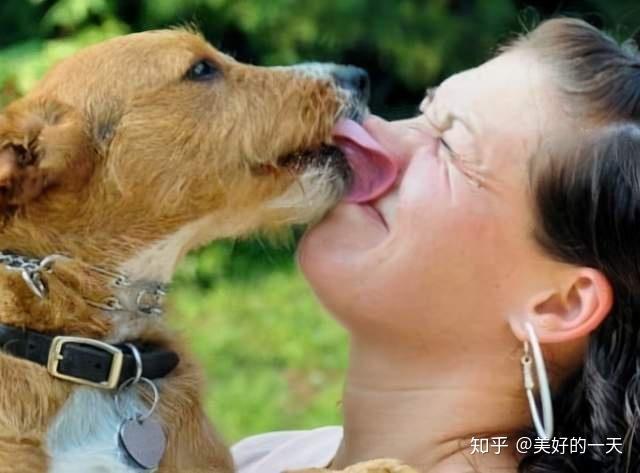 狗狗喜欢舔,狗狗喜欢舔主人是什么意思,狗狗到处舔东西什么情况？