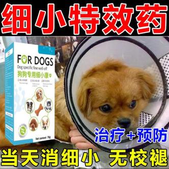 狗狗犬瘟热,狗狗犬瘟热的症状有哪些,狗狗得了犬瘟热有什么治疗的特效药和方法？