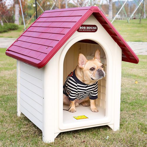 狗狗的房子,狗狗的房子图片,小狗的房子作者是谁？