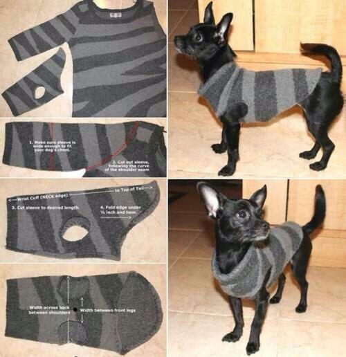 自制狗狗衣服,自制狗狗衣服教程图片,狗狗喜欢咬自己的衣服怎么办？
