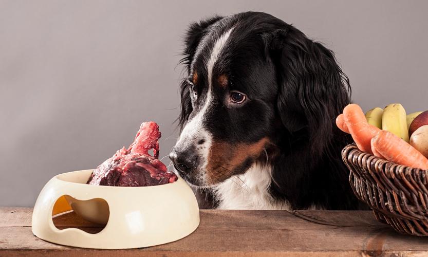 狗狗吃生肉,狗狗吃生肉好还是熟肉,狗怎么喂生肉？