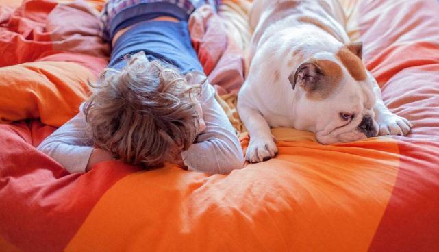 狗狗爱睡觉,狗爱睡觉正常的吗,狗狗为什么总是想上床？