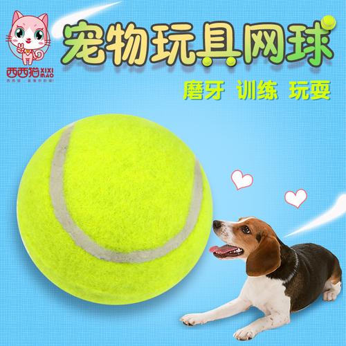 狗狗玩具球,狗狗玩具球怎么编的,狗狗吃东西很急，怎么训练？