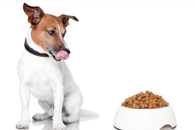 小狗狗粮怎么喂,小狗狗粮怎么喂粮喂多少,一年的狗狗怎么吃狗粮餐？