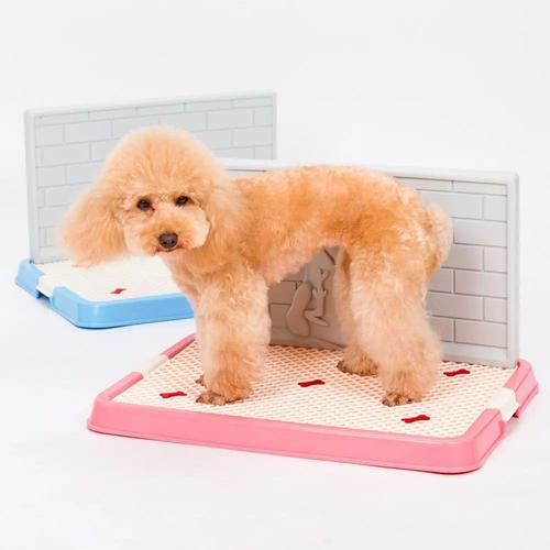 训练狗狗上厕所,如何训练狗狗在固定地点大小便,如何训练小犬上厕所？